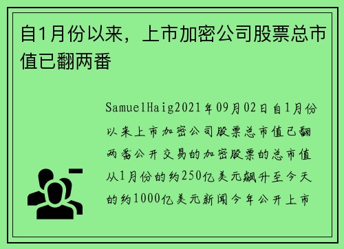 自1月份以来，上市加密公司股票总市值已翻两番 